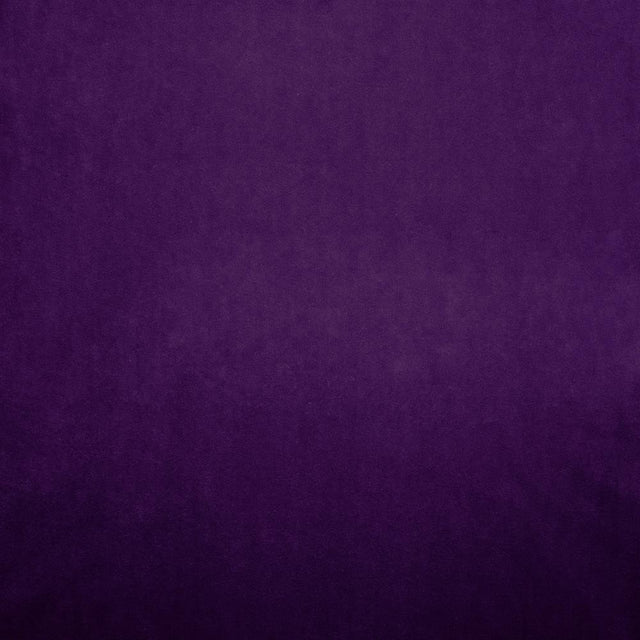 Kasmir Nampara Purple Fabric
