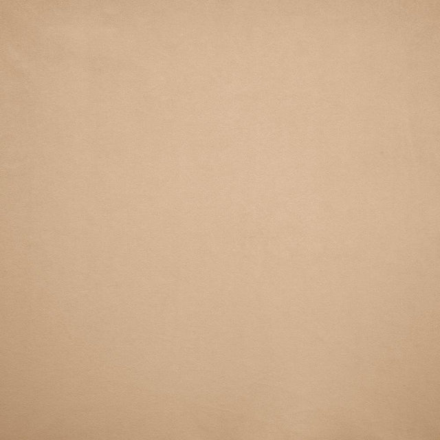 Kasmir Nampara Rosewood Fabric