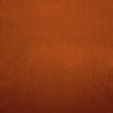 Kasmir Nampara Terracotta Fabric