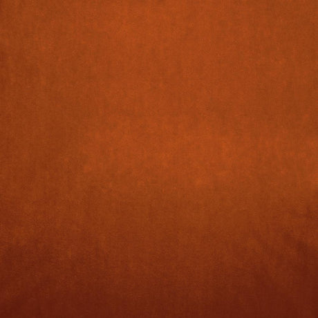 Kasmir Nampara Terracotta Fabric