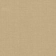 Kasmir Naveen Natural Fabric