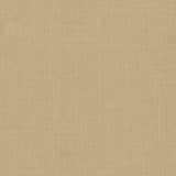 Kasmir Naveen Natural Fabric