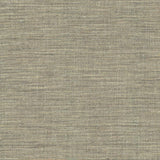 Kasmir Nikita Cloud Fabric