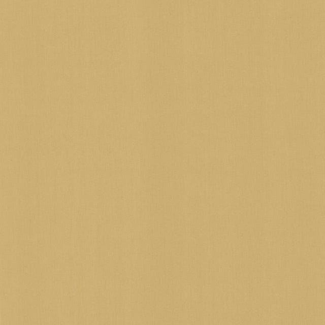 Kasmir Perception Cashew Fabric