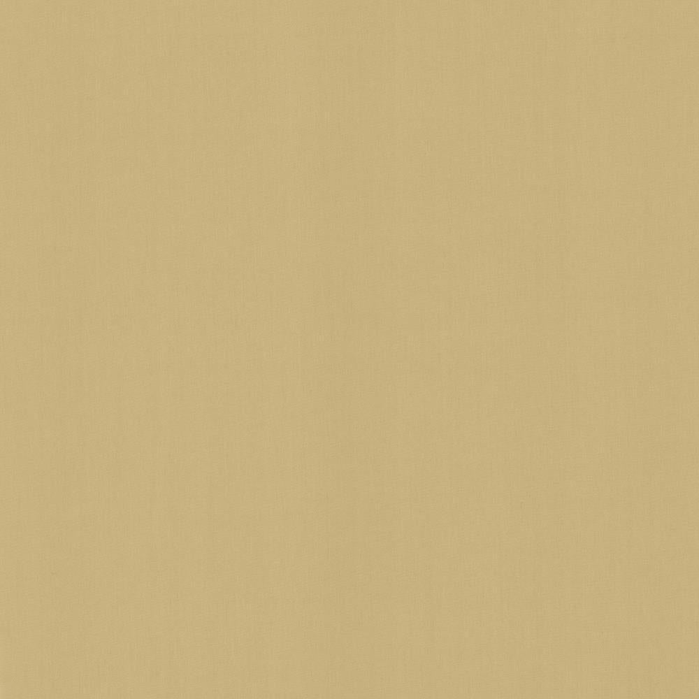 Kasmir Perception Coconut Fabric