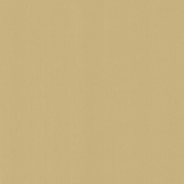 Kasmir Perception Coconut Fabric
