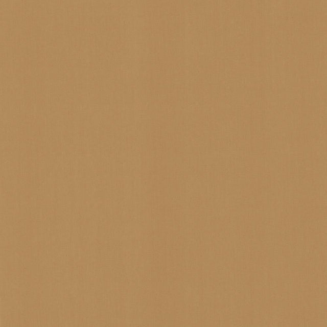 Kasmir Perception Desert Fabric