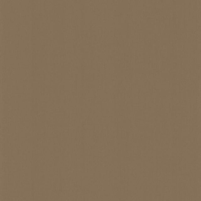 Kasmir Perception Driftwood Fabric