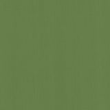 Kasmir Perception Kelly Fabric