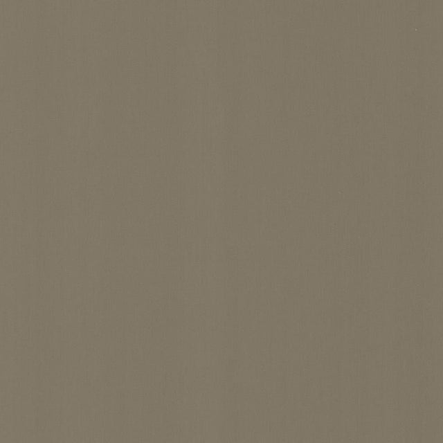 Kasmir Perception Seal Fabric