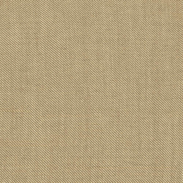 Kasmir Rayner Oatmeal Fabric
