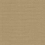 Kasmir Resilient Mouse Fabric