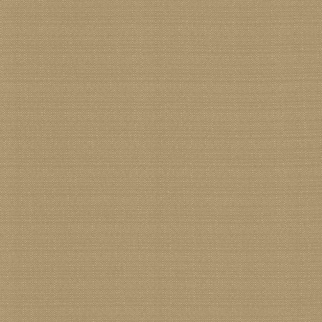 Kasmir Resilient Mouse Fabric