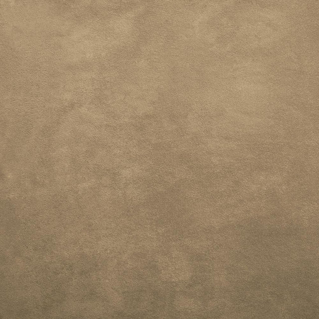 Kasmir Retrospective Buckskin Fabric