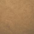 Kasmir Retrospective Camel Fabric