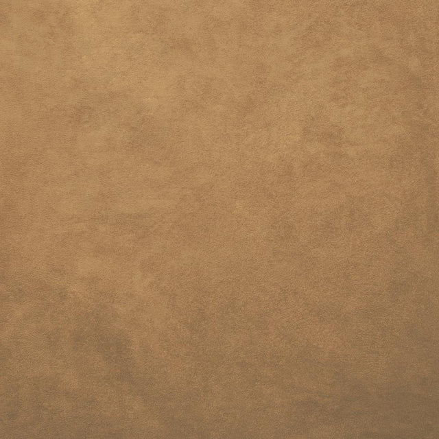 Kasmir Retrospective Camel Fabric
