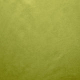 Kasmir Retrospective Iguana Fabric