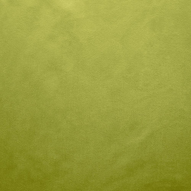 Kasmir Retrospective Iguana Fabric
