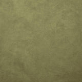 Kasmir Retrospective Sage Fabric