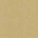 Kasmir Robust Buff Fabric