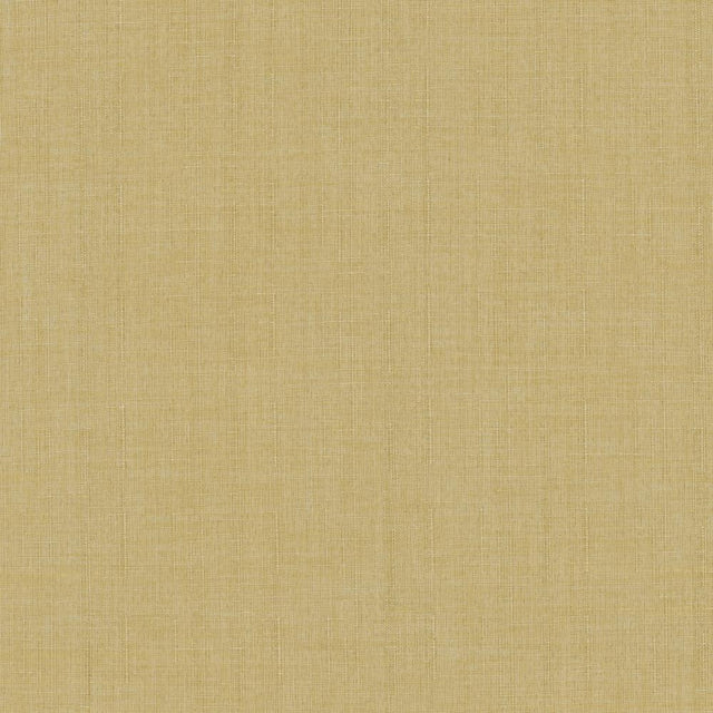 Kasmir Robust Buff Fabric