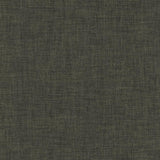 Kasmir Robust Charcoal Fabric