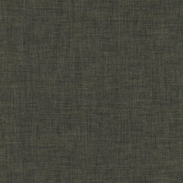 Kasmir Robust Charcoal Fabric