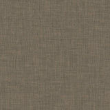 Kasmir Robust Praline Fabric