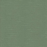 Kasmir Symphony /D Eucalyptus Fabric