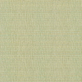 Kasmir Unity Spring Fabric