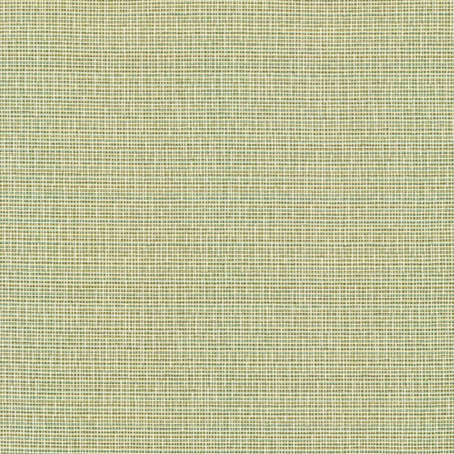 Kasmir Unity Spring Fabric