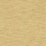 Kasmir Willa Midas Fabric