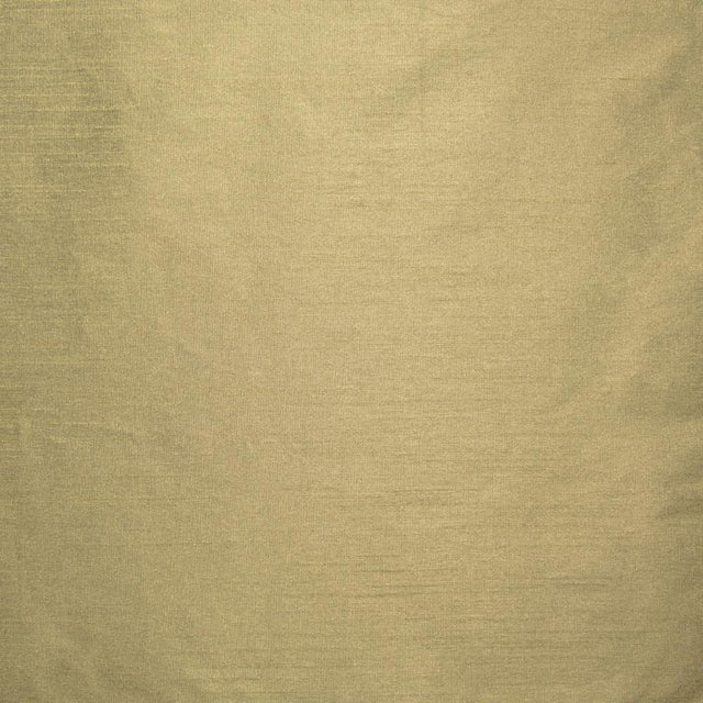 Kasmir Complementary Truffle Fabric