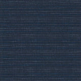 Kasmir Concerto Midnight Fabric