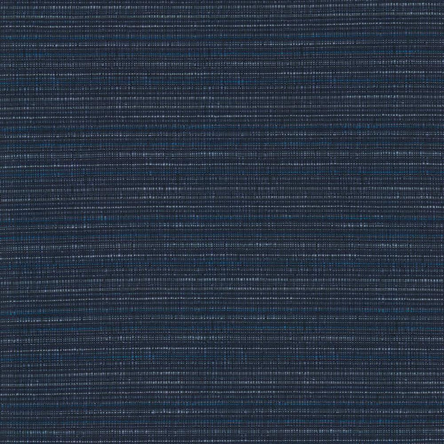 Kasmir Concerto Midnight Fabric