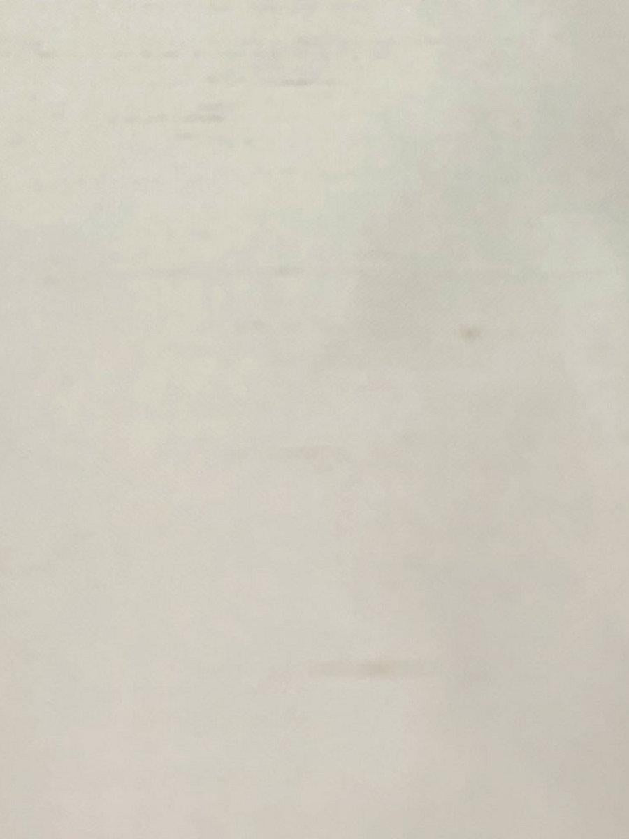Scalamandre Dupioni Solids Cream Fabric