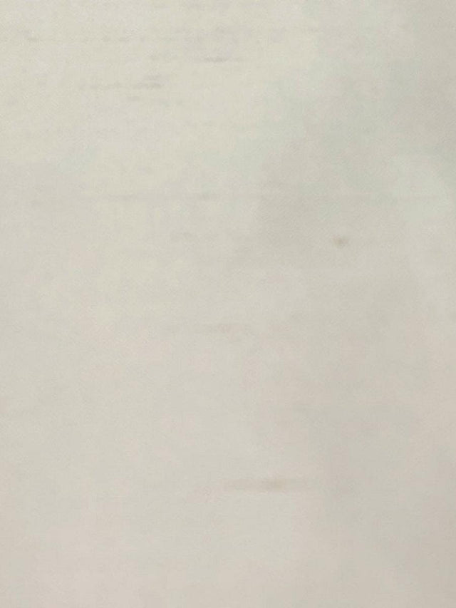 Scalamandre Dupioni Solids Cream Fabric