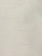 Scalamandre Dupioni Solids Cream Fabric