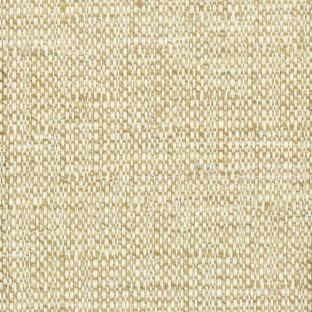 Stout BRIDLE HONEY Fabric