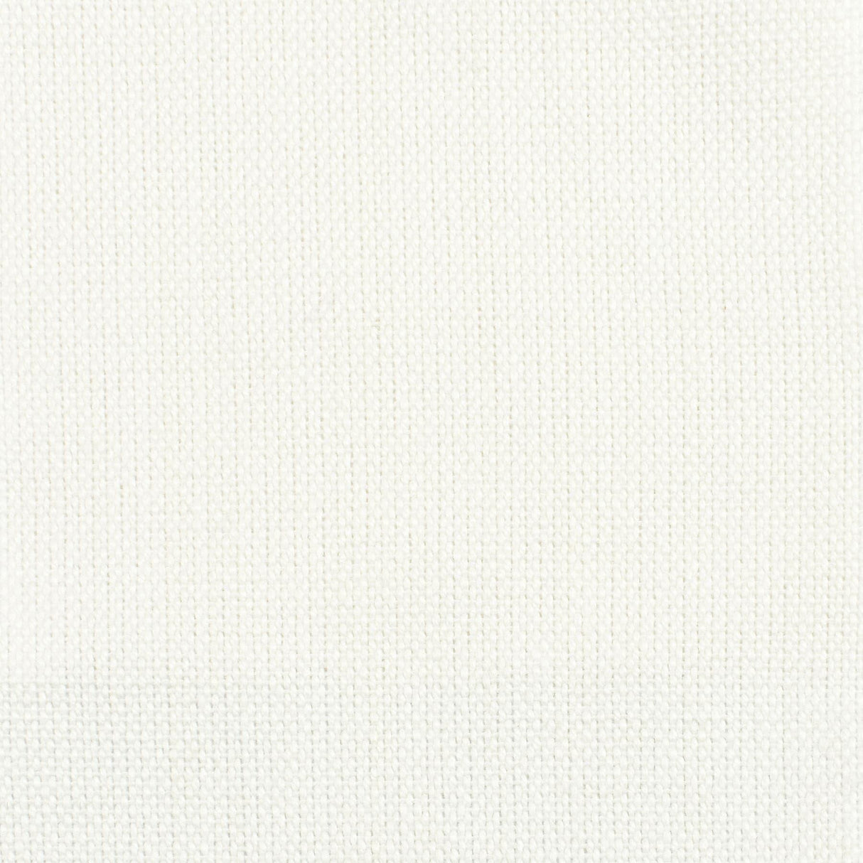 Stout UCELLO BONE Fabric