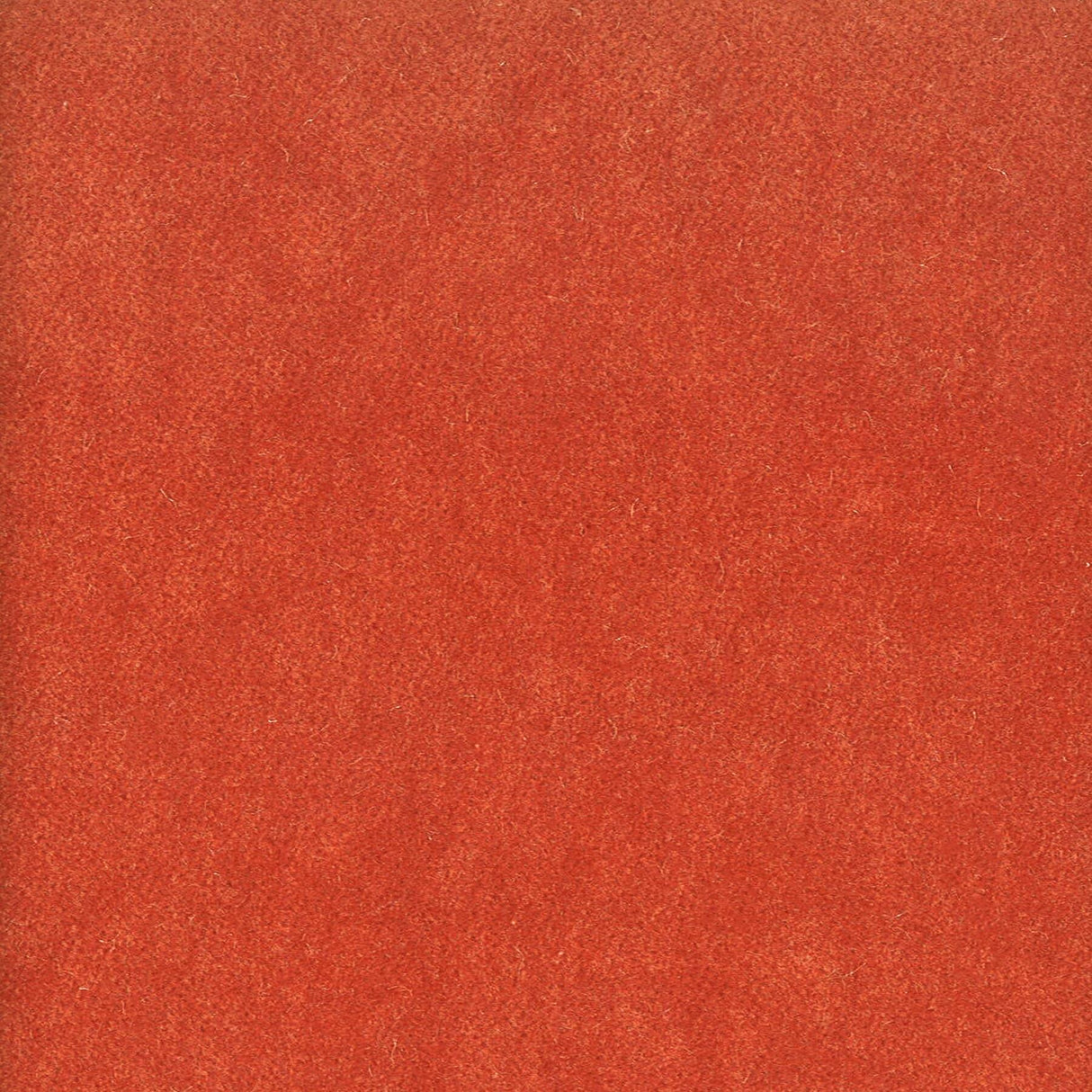 Stout MOORE TERRACOTTA Fabric