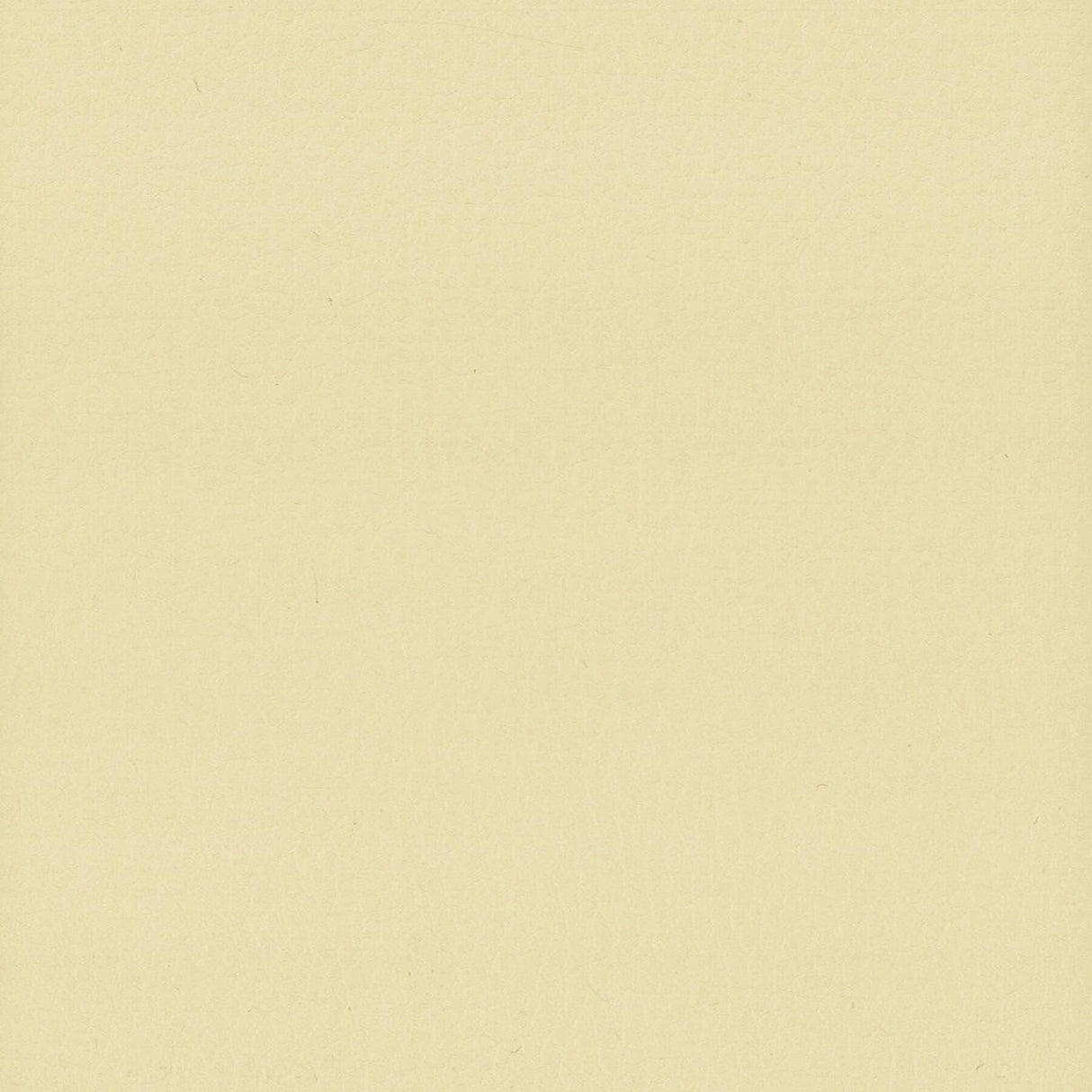 Stout LODGE CHAMOIS Fabric