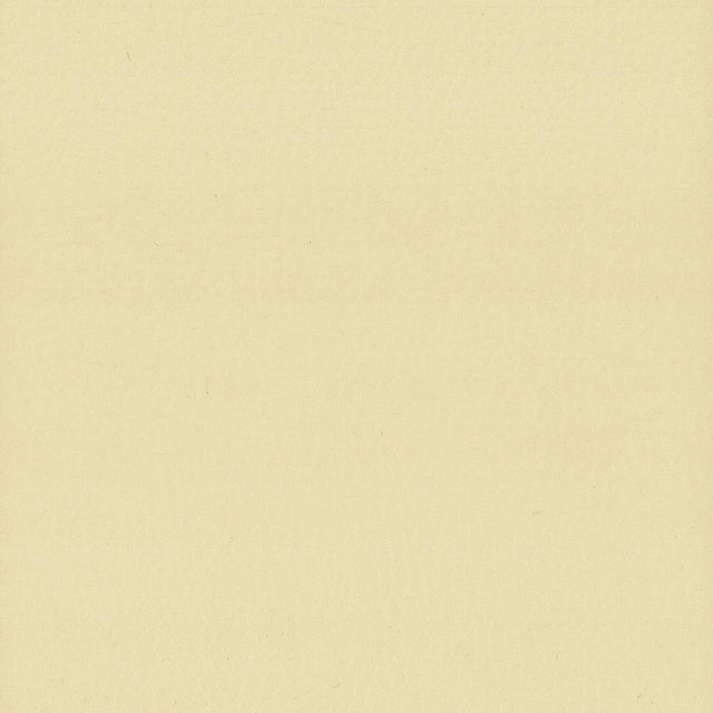 Stout LODGE CHAMOIS Fabric