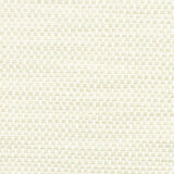 Stout OPPOSITE PARCHMENT Fabric