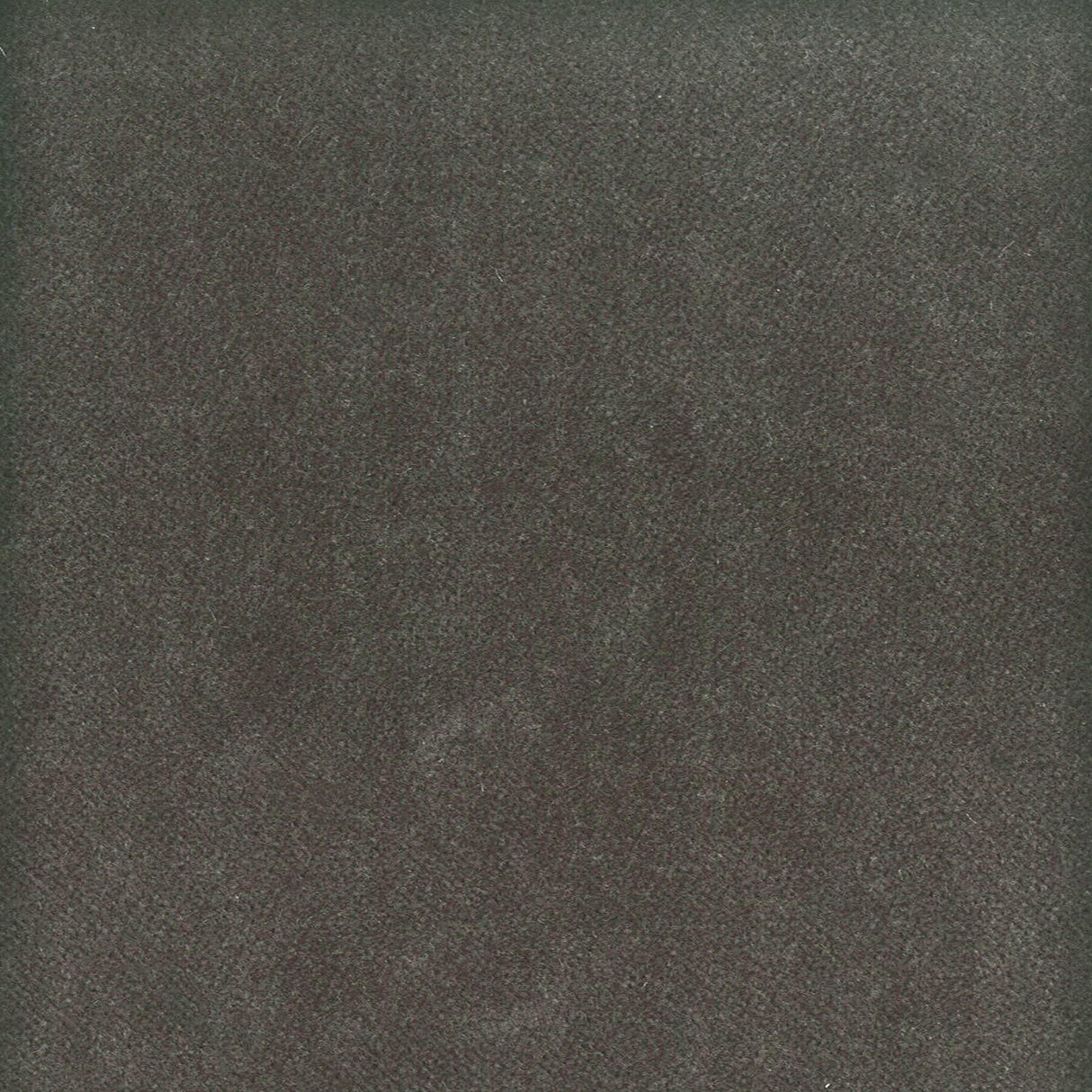 Stout MOORE FLINT Fabric