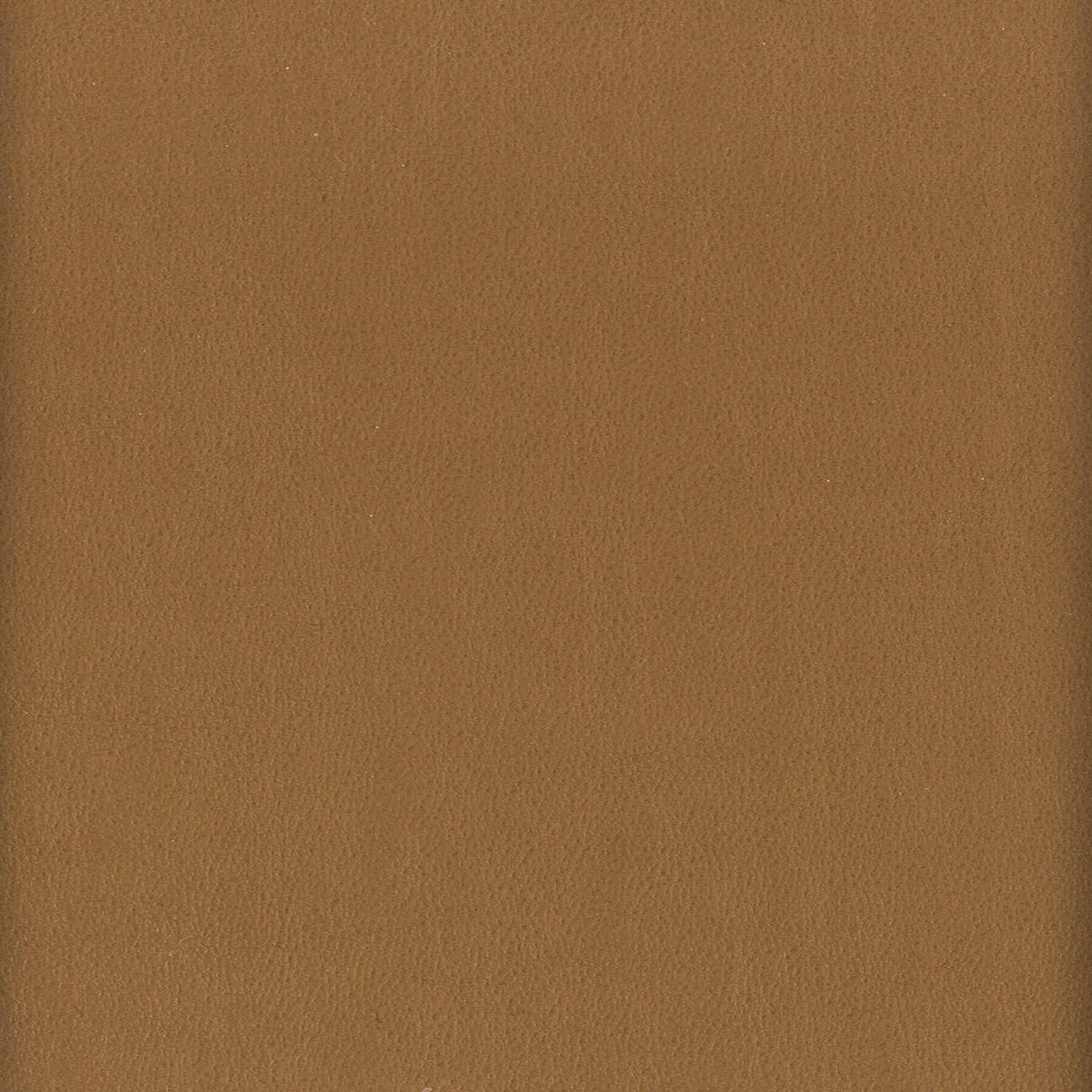 Stout ELBERT NUT Fabric