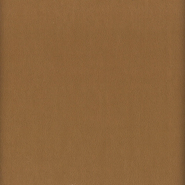 Stout ELBERT NUT Fabric