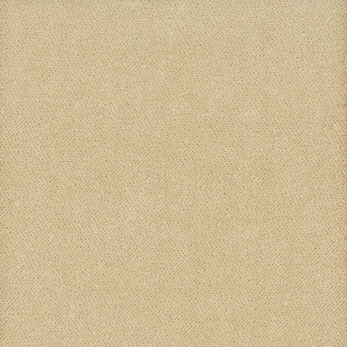 Stout MOORE DESERT Fabric