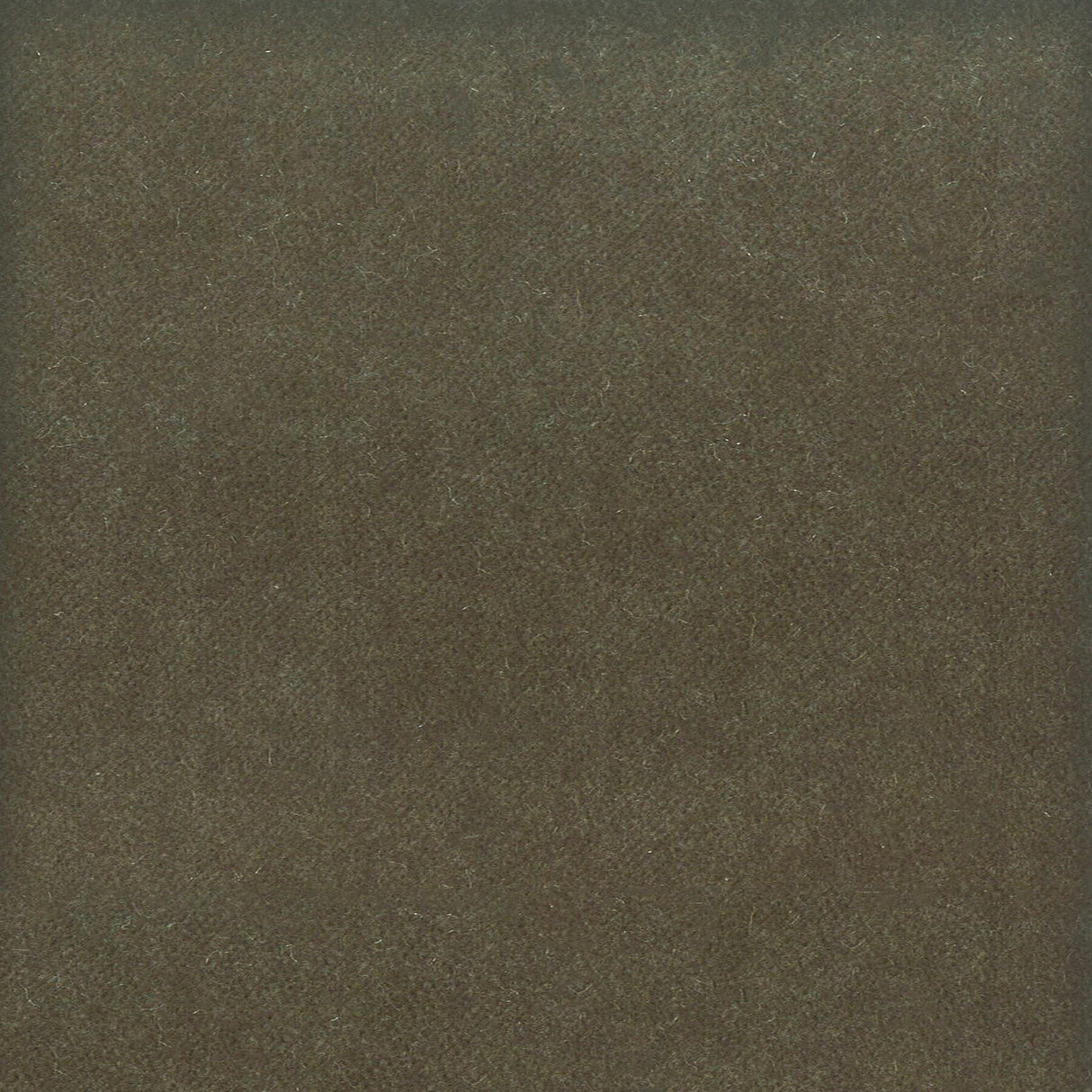 Stout MOORE SHADOW Fabric