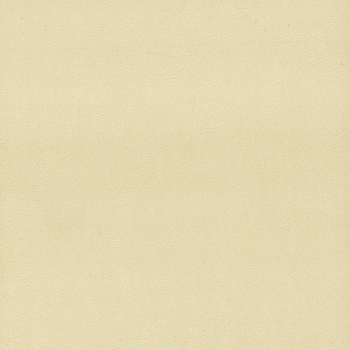 Stout ELBERT PARCHMENT Fabric